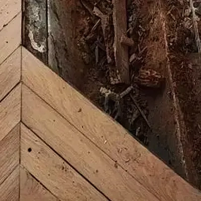 Traitement de parquet anti-insecte