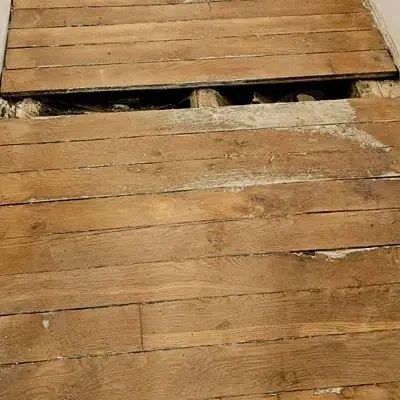 changement de lames d'un parquet